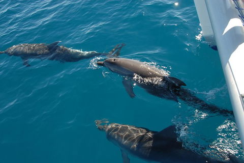 Fraser Island & Dolphin Sailing Adventure - VIC Tourism 2