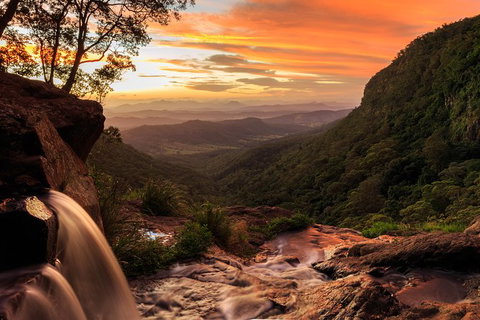 O\'Reilly\'s & Lamington National Park Incl. Alpaca Farm + Vineyard - VIC Tourism 6