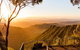 O\'Reilly\'s & Lamington National Park Incl. Alpaca Farm + Vineyard - thumb 3