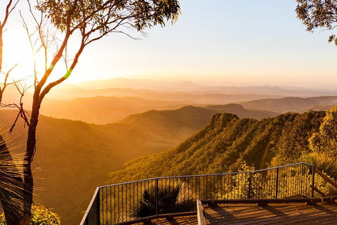 O\'Reilly\'s & Lamington National Park Incl. Alpaca Farm + Vineyard - VIC Tourism 3