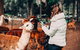 O\'Reilly\'s & Lamington National Park Incl. Alpaca Farm + Vineyard - thumb 4