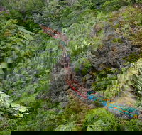 Kuranda Scenic Railway Day Trip from Port Douglas - VIC Tourism