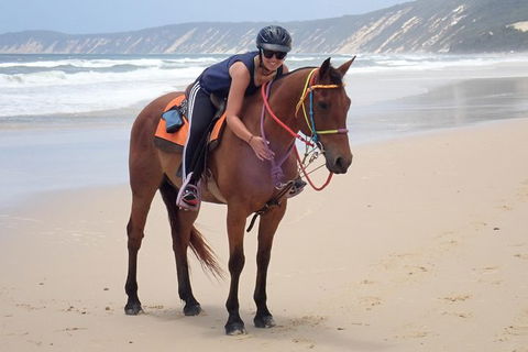 Rainbow Beach Horse Ride - VIC Tourism 2