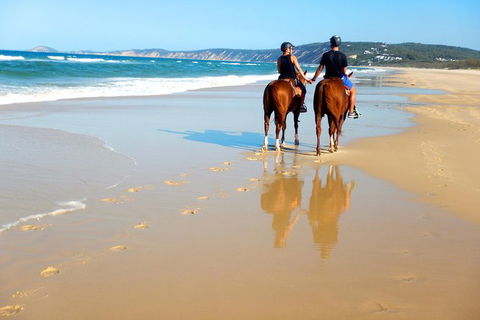 Rainbow Beach Horse Ride - VIC Tourism 3