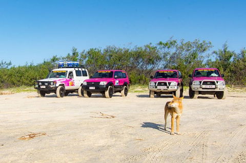3 Day 4wd Tagalong Tour - Fraser Island - VIC Tourism 0