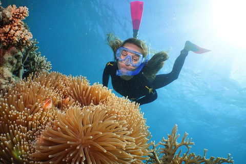 Quicksilver Outer Great Barrier Reef Snorkel Cruise From Palm Cove - VIC Tourism 12