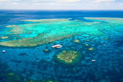 Quicksilver Outer Great Barrier Reef Snorkel Cruise From Palm Cove - VIC Tourism 9
