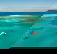 Great Barrier Reef Dive and Snorkel Cruise from Mission Beach - VIC Tourism