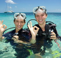 Ocean Spirit Michaelmas Cay Dive and Snorkel Cruise from Palm Cove - VIC Tourism