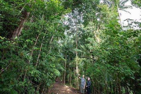 Whitsundays Tropical Rainforest, Waterfalls And Airlie Beach Eco Experience - VIC Tourism 1