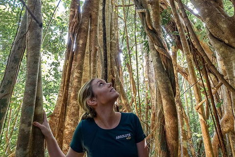 Whitsundays Tropical Rainforest, Waterfalls And Airlie Beach Eco Experience - VIC Tourism 14