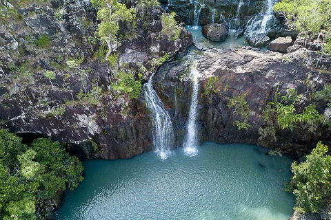 Whitsundays Tropical Rainforest, Waterfalls And Airlie Beach Eco Experience - VIC Tourism 13