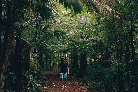 Whitsundays Tropical Rainforest, Waterfalls And Airlie Beach Eco Experience - VIC Tourism 5