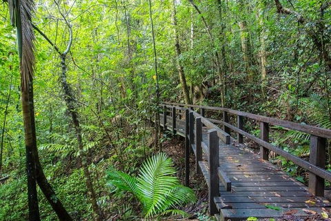 Whitsundays Tropical Rainforest, Waterfalls And Airlie Beach Eco Experience - VIC Tourism 3