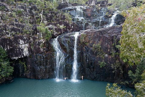 Whitsundays Tropical Rainforest, Waterfalls And Airlie Beach Eco Experience - VIC Tourism 9