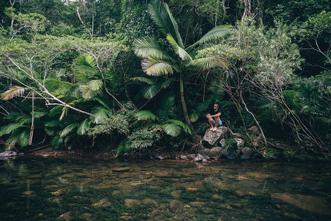 Whitsundays Tropical Rainforest, Waterfalls And Airlie Beach Eco Experience - VIC Tourism 2
