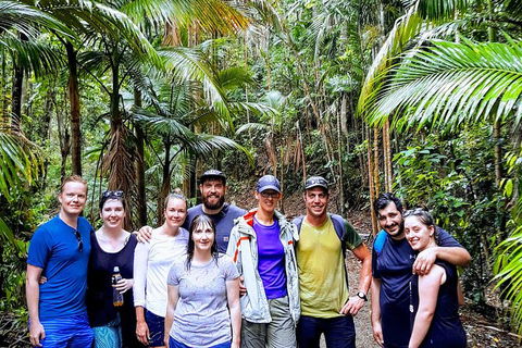 Whitsundays Tropical Rainforest, Waterfalls And Airlie Beach Eco Experience - VIC Tourism 15