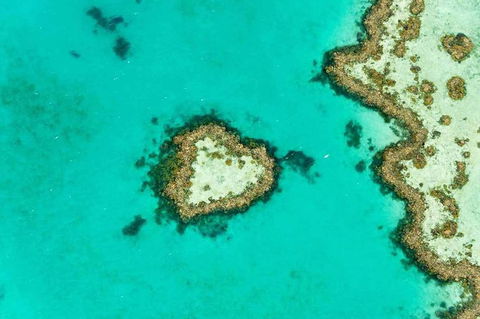 Whitsundays Seaplane Tours - VIC Tourism 3