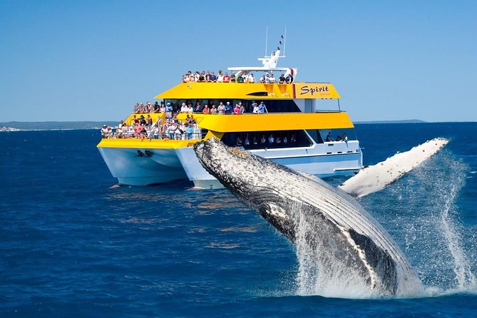  VIC Tourism