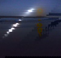 Full Moon Horse Ride at Rainbow Beach - VIC Tourism
