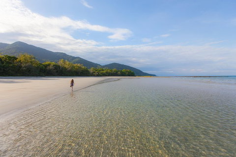 Cape Tribulation, Daintree Rainforest And Wildlife Tour - VIC Tourism 6