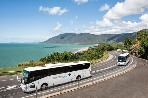 Cape Tribulation, Daintree Rainforest And Wildlife Tour - VIC Tourism 3