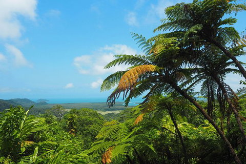 Cape Tribulation, Daintree Rainforest And Wildlife Tour - VIC Tourism 5