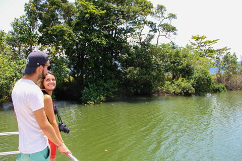 Cape Tribulation, Daintree Rainforest And Wildlife Tour - VIC Tourism 8