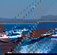 Blue Dolphin Exclusive Whale Watch Encounters - VIC Tourism