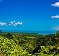 Cape Tribulation Day Tour - VIC Tourism