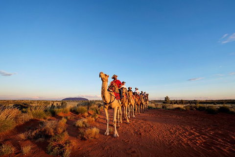 Uluru Small-Group Tour By Camel At Sunrise Or Sunset - VIC Tourism 0