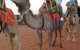 Uluru Small-Group Tour By Camel At Sunrise Or Sunset - thumb 2
