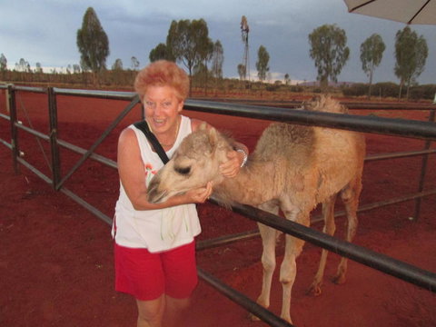 Uluru Small-Group Tour By Camel At Sunrise Or Sunset - VIC Tourism 18