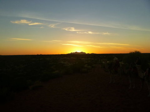 Uluru Small-Group Tour By Camel At Sunrise Or Sunset - VIC Tourism 8