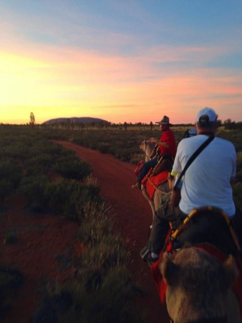 Uluru Small-Group Tour By Camel At Sunrise Or Sunset - VIC Tourism 16