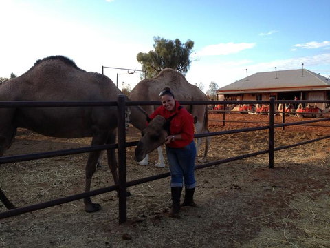 Uluru Small-Group Tour By Camel At Sunrise Or Sunset - VIC Tourism 21
