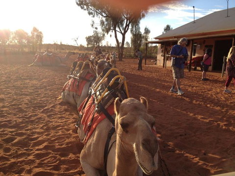 Uluru Small-Group Tour By Camel At Sunrise Or Sunset - VIC Tourism 22