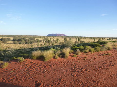 Uluru Small-Group Tour By Camel At Sunrise Or Sunset - VIC Tourism 9