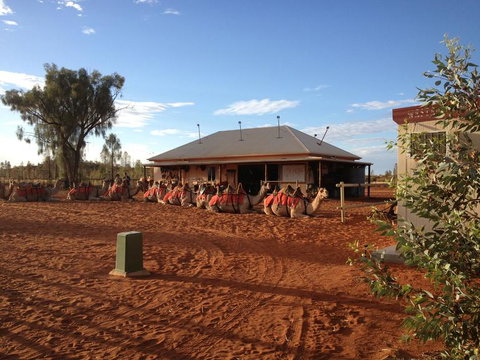 Uluru Small-Group Tour By Camel At Sunrise Or Sunset - VIC Tourism 20