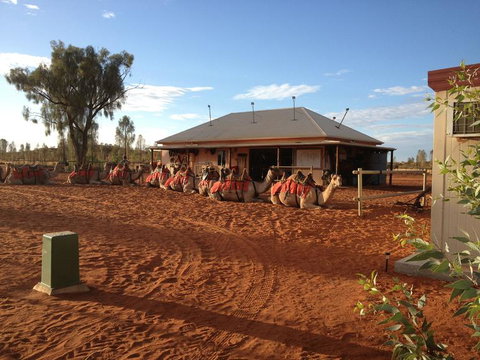 Uluru Small-Group Tour By Camel At Sunrise Or Sunset - VIC Tourism 19