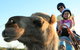 Uluru Small-Group Tour By Camel At Sunrise Or Sunset - thumb 3