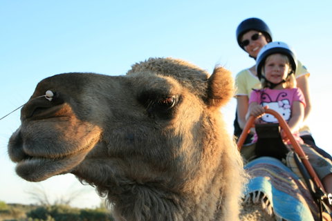 Uluru Small-Group Tour By Camel At Sunrise Or Sunset - VIC Tourism 3