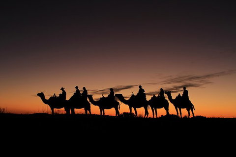Uluru Small-Group Tour By Camel At Sunrise Or Sunset - VIC Tourism 27