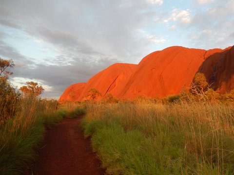Uluru Sunrise And Guided Base Walk - VIC Tourism 3