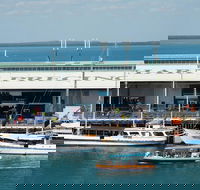Darwin Harbour Bombing of Darwin Cruise - VIC Tourism
