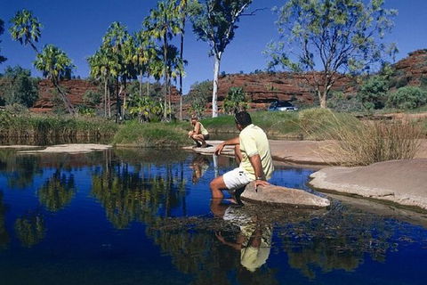 Palm Valley 4WD Day Tour - VIC Tourism 3