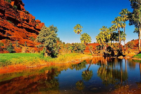 Palm Valley 4WD Day Tour - VIC Tourism 1
