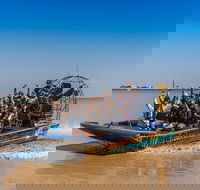 1 Hour Darwin Airboat Tours - VIC Tourism