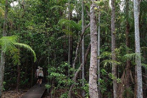 Litchfield National Park And Jumping Crocodile Cruise - VIC Tourism 5