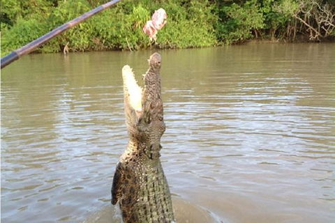 Litchfield National Park And Jumping Crocodile Cruise - VIC Tourism 10